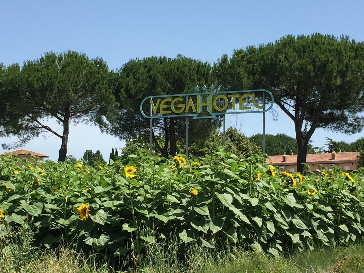 Vega Hotel 3*